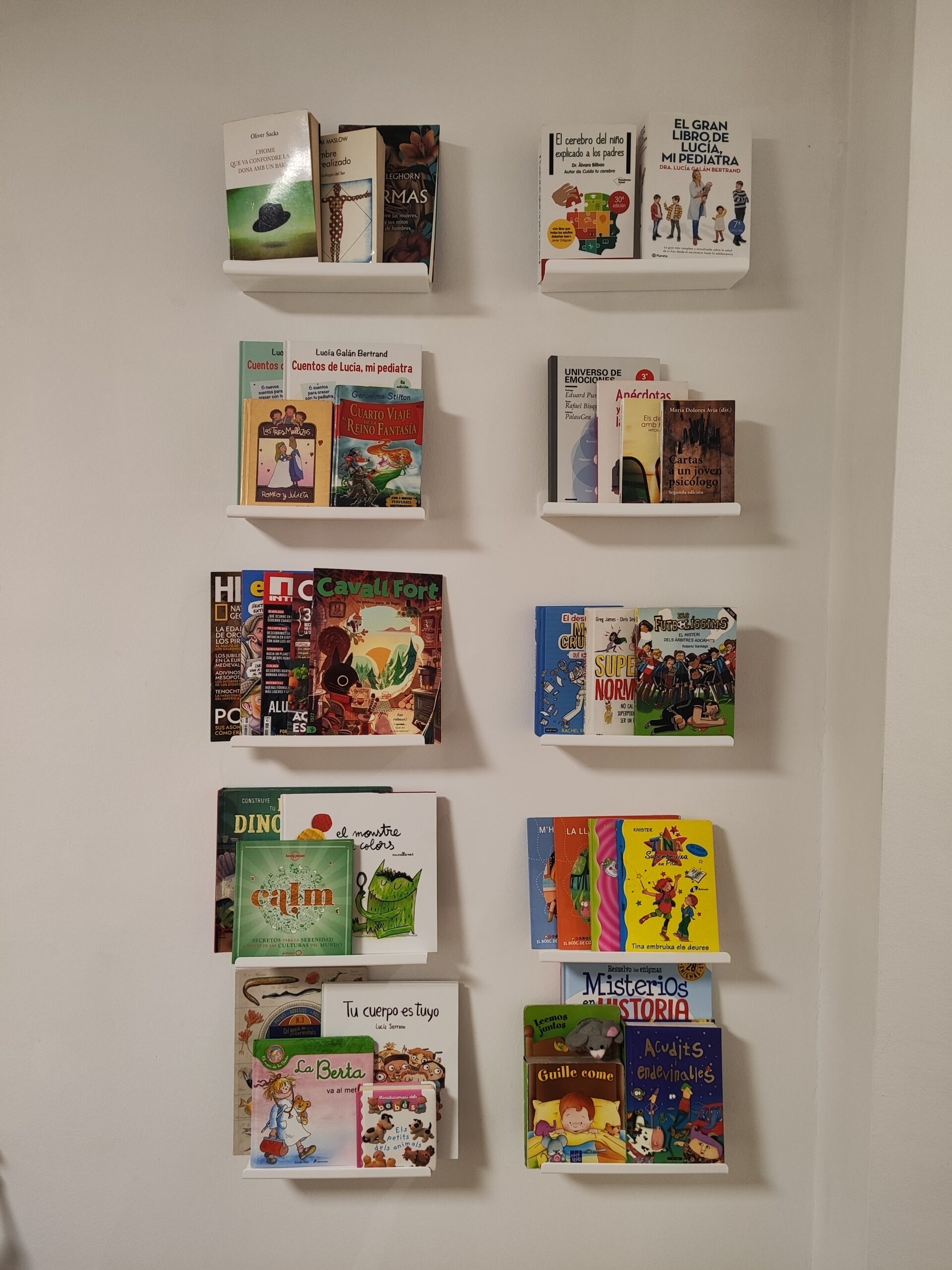 IMG_20251007_171557 (1)